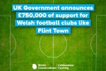 Image of a football pitch with the text 'UK Government annouces £750,000 of support for Welsh football clubs like Flint Town